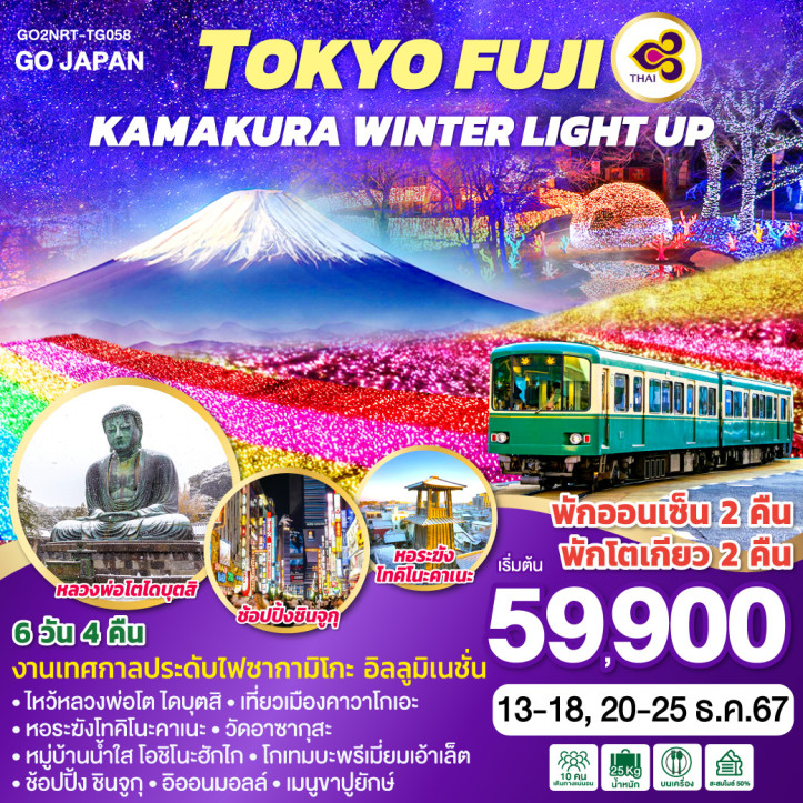 ทัวร์ญี่ปุ่น โตเกียว FUJI KAMAKURA WINTER LIGHT UP 6วัน 4คืน โดยสายการบินไทย TG