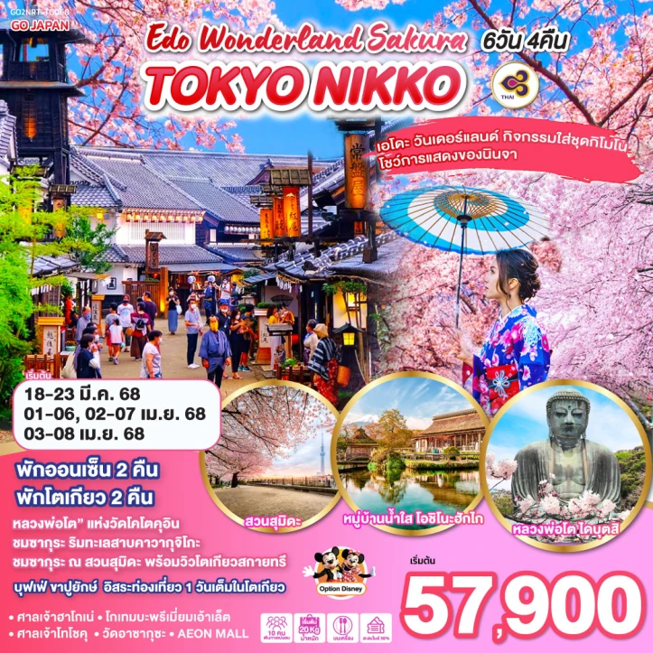 ทัวร์ญี่ปุ่น โตเกียว NIKKO EDO WONDERLAND SAKURA 6วัน 4คืน โดยสายการบิน Thai Airways TG