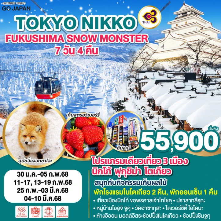 ทัวร์ญี่ปุ่น TOKYO NIKKO FUKUSHIMA SNOW MONSTER 7วัน 4คืน โดยสายการบิน Thai Airways TG