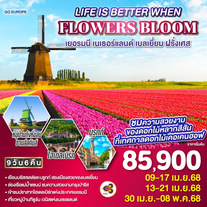 ทัวร์ยุโรป LIFE IS BETTER WHEN FLOWERS BLOOM เยอรมนี เนเธอร์แลนด์ เบลเยี่ยม ฝรั่งเศส 9วัน 6คืน โดยสายการบิน Thai Airways TG