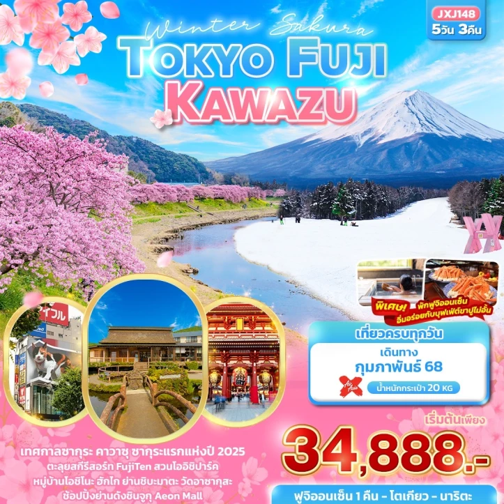 ทัวร์ญี่ปุ่น โตเกียว ฟูจิ Kawazu Winter Sakura 5วัน 3คืน โดยสายการบิน Air Asia XJ