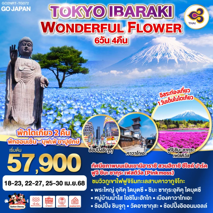 ทัวร์ญี่ปุ่น โตเกียว IBARAKI WONDERFUL FLOWER 6วัน 4คืน โดยสายการบิน Thai Airways (TG)