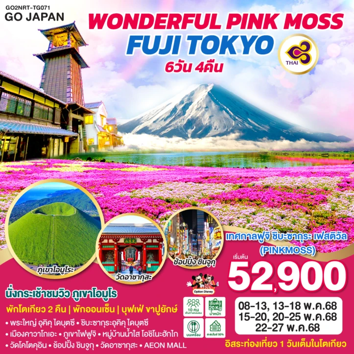 ทัวร์ญี่ปุ่น โตเกียว ฟูจิ WONDERFUL PINKMOSS 6วัน 4คืน โดยสายการบิน Thai Airways (TG)