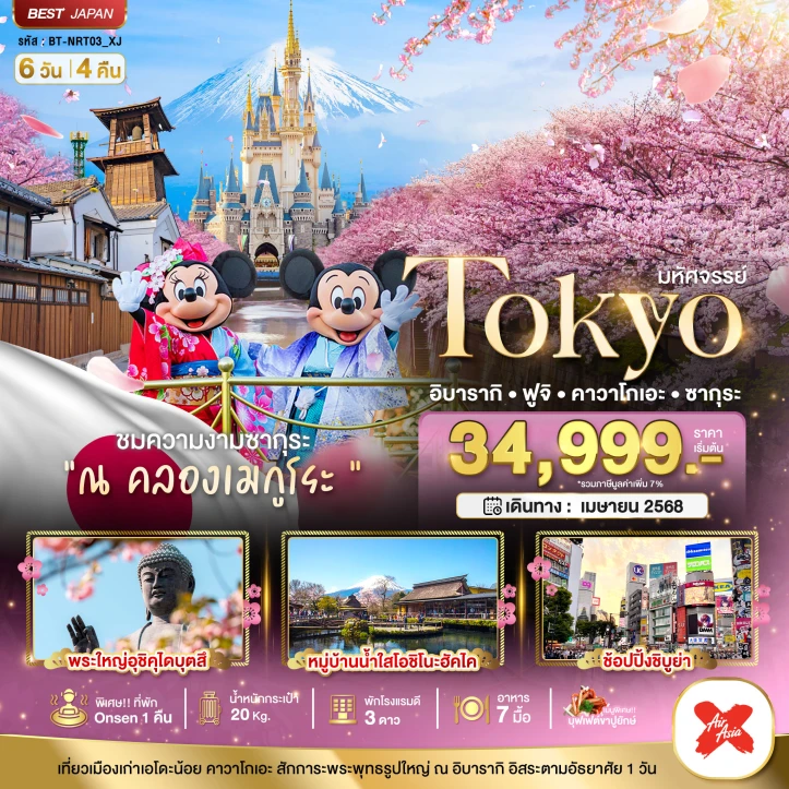 ทัวร์ญี่ปุ่น โตเกียว อิบารากิ ฟูจิ คาวาโกเอะ ซากุระ 6 วัน 4 คืน โดยสายการบิน Thai AirAsiaX (XJ)