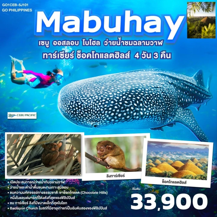 ทัวร์ฟิลิปปินส์ เซบู ออสลอบ โบโฮล ว่ายน้ำกับฉลามวาฬ ทาร์เซียร์ ช็อคโกแลตฮิลส์ 4วัน 3คืน บิน Cebu Pacific (5J)