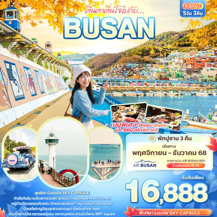 ทัวร์เกาหลี เที่ยวปูซาน สุดชิคนั่งรถไฟ Sky Capsule 5วัน 3คืน บิน Air Busan (BX)