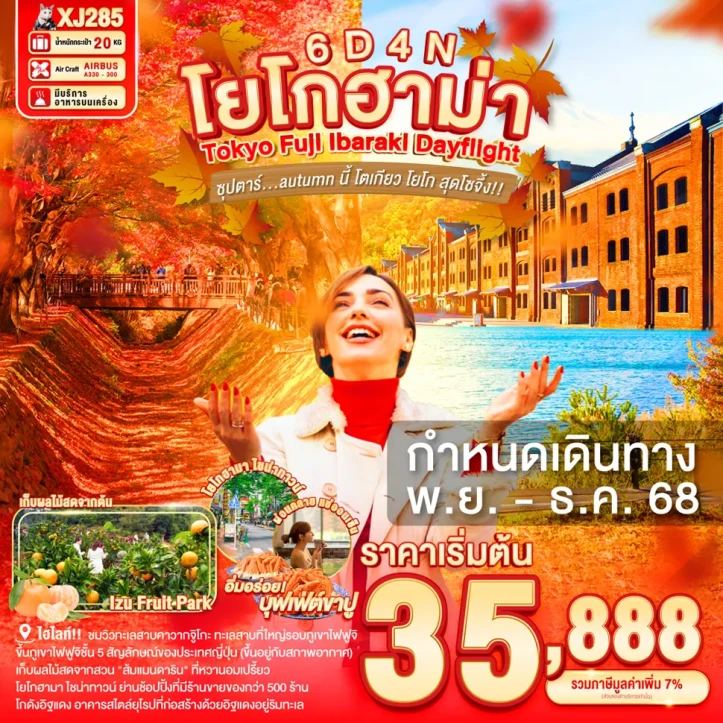 ทัวร์ญี่ปุ่น โตเกียว ฟูจิ โยโกฮาม่า IBARAKI 6วัน 4คืน