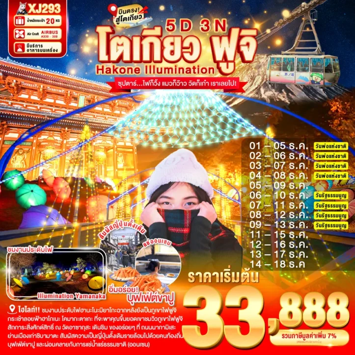 ทัวร์ญี่ปุ่น โตเกียว ฮาโกเน่ จูฟิ ILlUMINATION 5วัน 3คืน