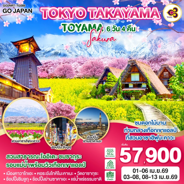 ทัวร์ญี่ปุ่น โตเกียว ซากุระ ทาคายาม่า TOYAMA 6วัน 4คืน