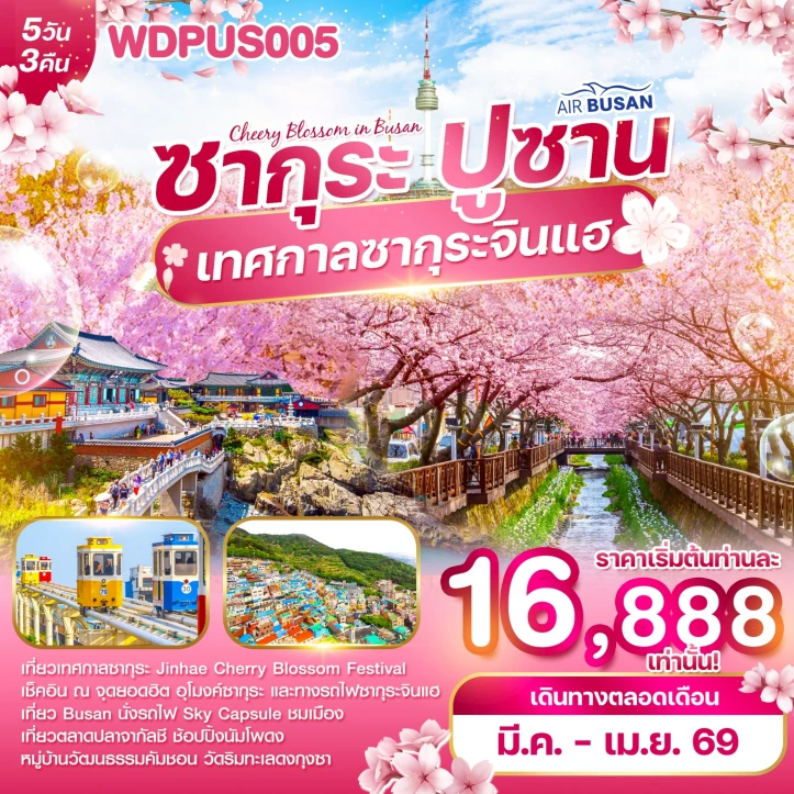 ทัวร์เกาหลี ปูซาน เทศกาลซากุระจินแฮ 2026 นั่งรถไฟSky Capsule 5วัน 3คืน
