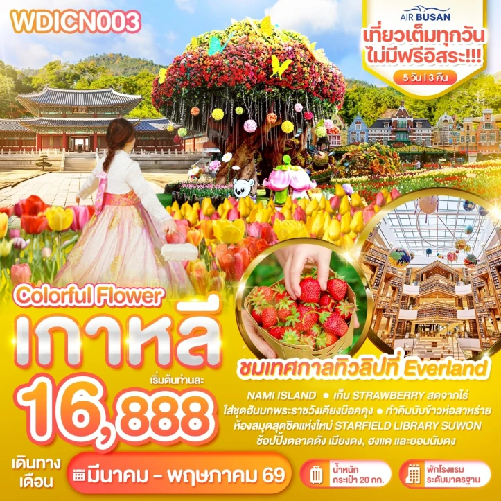 ทัวร์เกาหลี Colorful flower เที่ยวเต็มไม่มีฟรีอิสระ 5วัน 3คืน