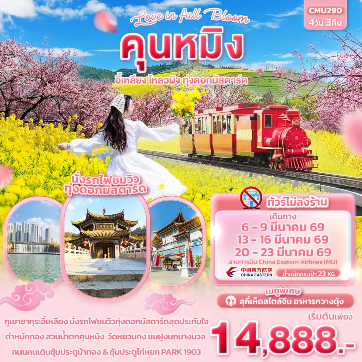 ทัวร์จีน คุนหมิง อี้เหลียง โหลวผิง ทุ่งดอกมัสตาร์ด ไม่ลงร้าน 4วัน 3คืน