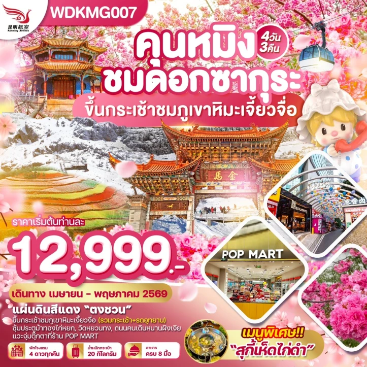 ทัวร์จีน คุนหมิง ชมดอกซากุระบาน ภูเขาหิมะเจี้ยวจื่อ แผ่นดินสีแดง 4วัน 3คืน