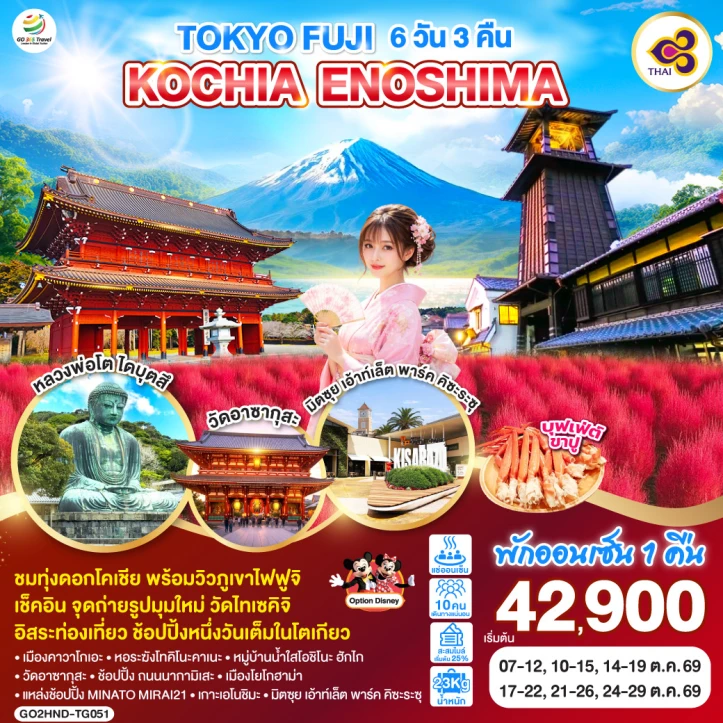 ทัวร์ญี่ปุ่น โตเกียว FUJI KOCHIA ENOSHIMA 6วัน 3คืน