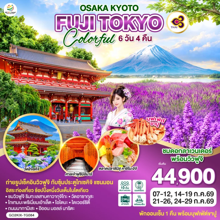 ทัวร์ญี่ปุ่น โอซาก้า เกียวโต FUJI โตเกียว COLORFUL 6วัน 4คืน
