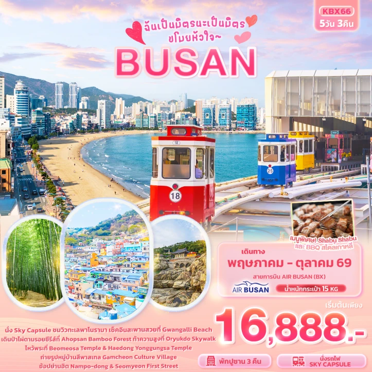 ทัวร์เกาหลี ปูซาน นั่งsky capsule ป่าไผ่อาฮอบซาน 5วัน 3คืน