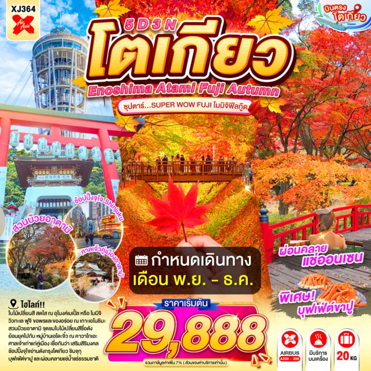 ทัวร์ญี่ปุ่น ENOSHIMA ATAMI TOKYO FUJI AUTUMN 5คืน 3คืน