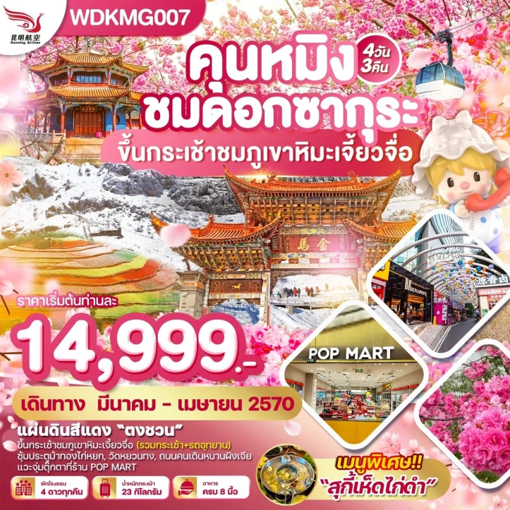 ทัวร์จีน คุนหมิง ชมดอกซากุระ ขึ้นกระเช้าชมภูเขาหิมะเจี้ยวจื่อ 4วัน 3คืน