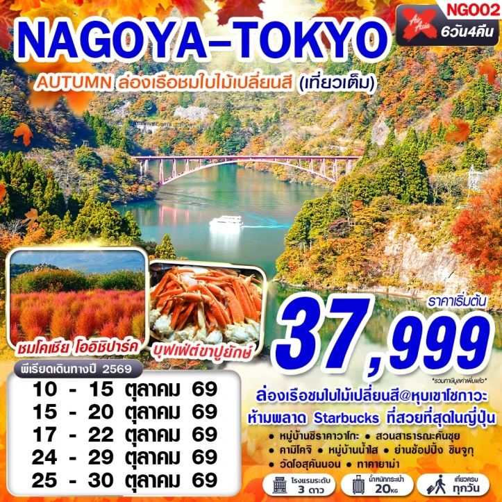 ทัวร์ญี่ปุ่น นาโกย่า โตเกียว AUTUMN ล่องเรือชมใบไม้เปลี่ยนสีหุบเขาโชกาวะ 6วัน 4คืน