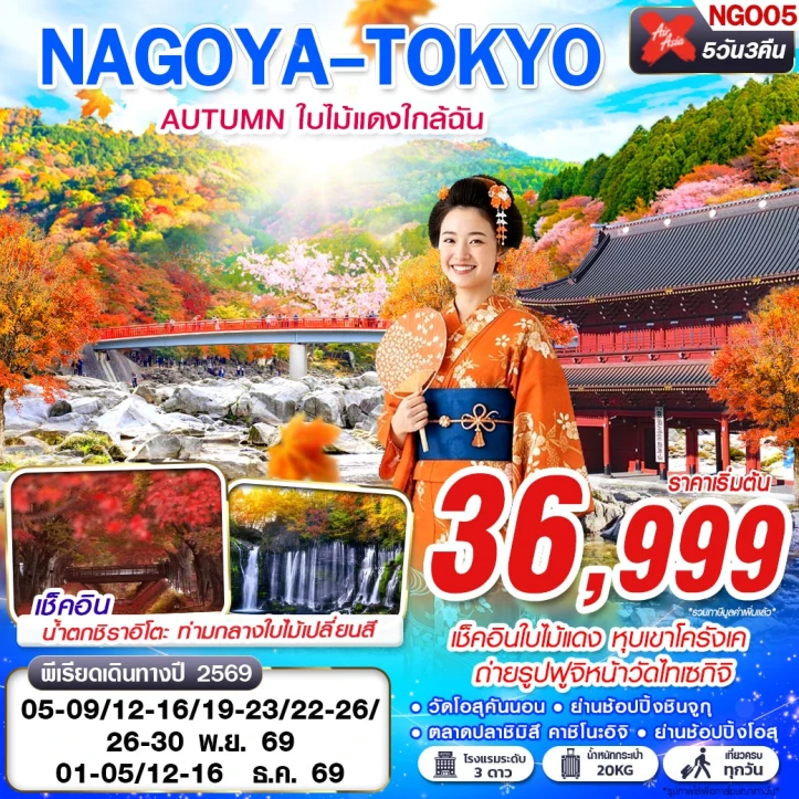ทัวร์ญี่ปุ่น นาโกย่า โตเกียว AUTUMN ใบไม้แดง (เที่ยวเต็ม) 5วัน 3คืน