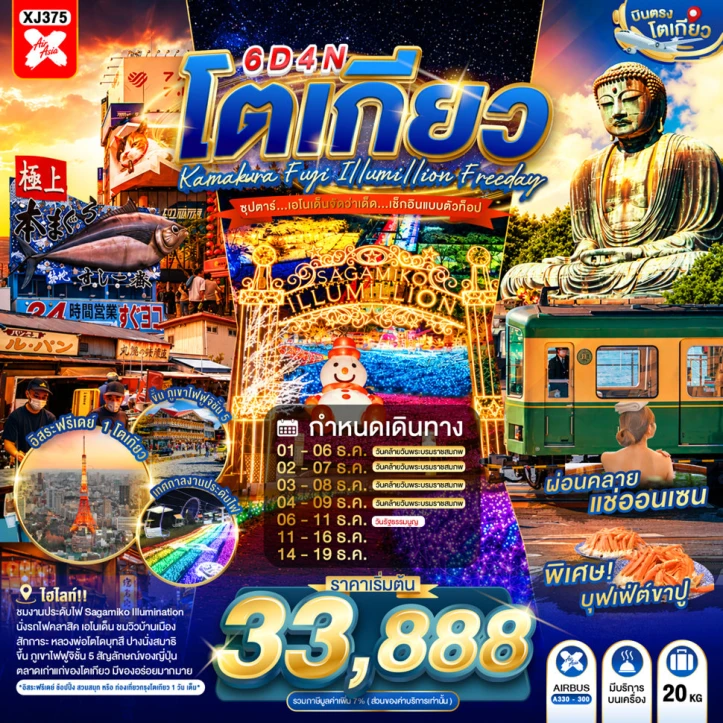 ทัวร์ญี่ปุ่น TOKYO KAMAKURA FUJI ILLUMILLION มีฟรีเดย์ 6วัน 4คืน