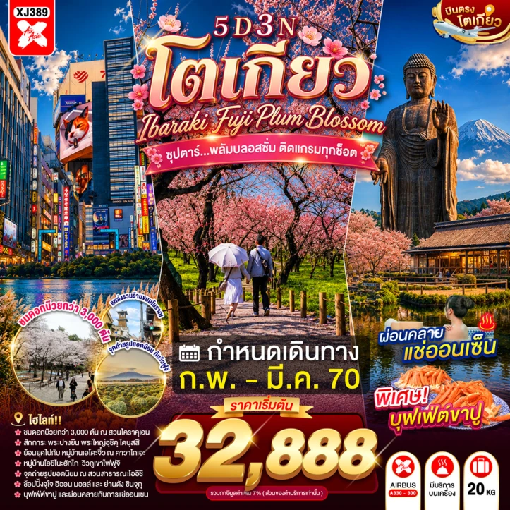 ทัวร์ญี่ปุ่น TOKYO IBARAKI FUJI PLUM BLOSSOM 5วัน 3คืน
