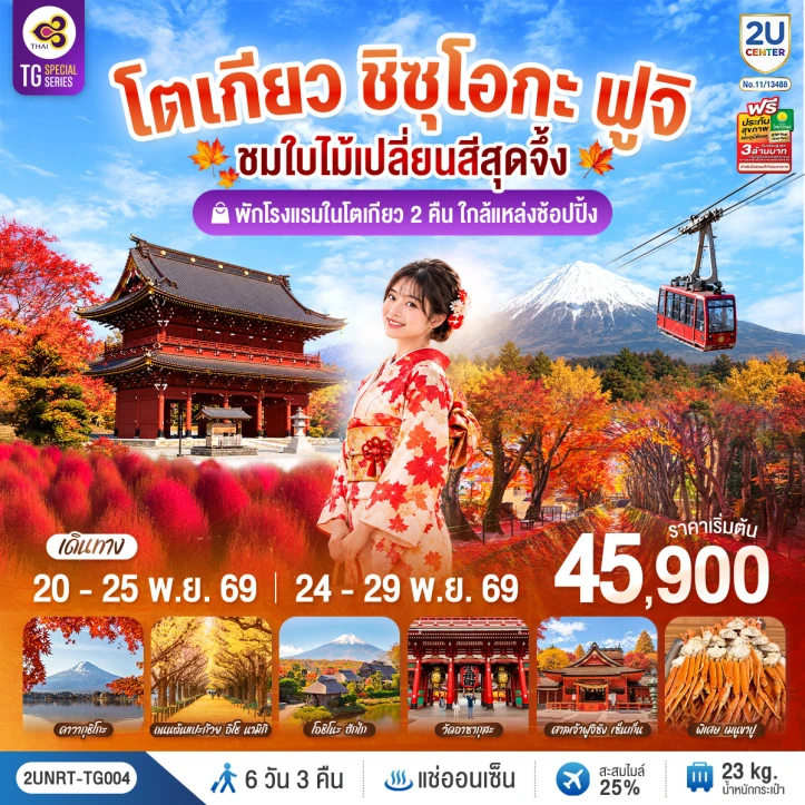 ทัวร์ญี่ปุ่น โตเกียว ชิซุโอกะ ฟูจิ นั่งกระเช้าคาจิคาจิ ใบไม้เปลี่ยนสี 6วัน 3คืน